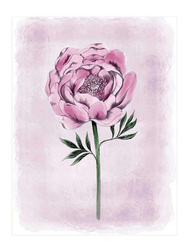 Laura Ashley Pink Peony Floral 73 x 103 cm Medium Frame - Image 2 of 4 Laura Ashley Pink Peony Floral 73 x 103 cm Medium Frame - Image 2 of 4