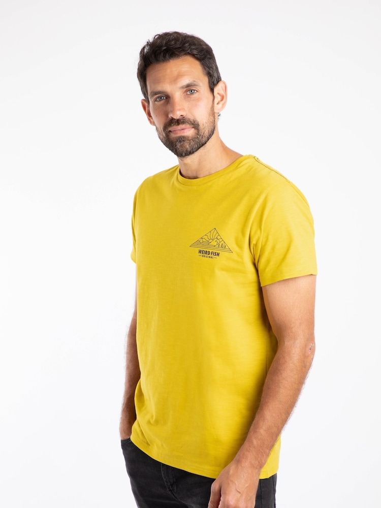 Weird Fish Green Pyramid View Back Print Graphic T-Shirt - Image 1 of 6 Weird Fish Green Pyramid View Back Print Graphic T-Shirt - Image 1 of 6