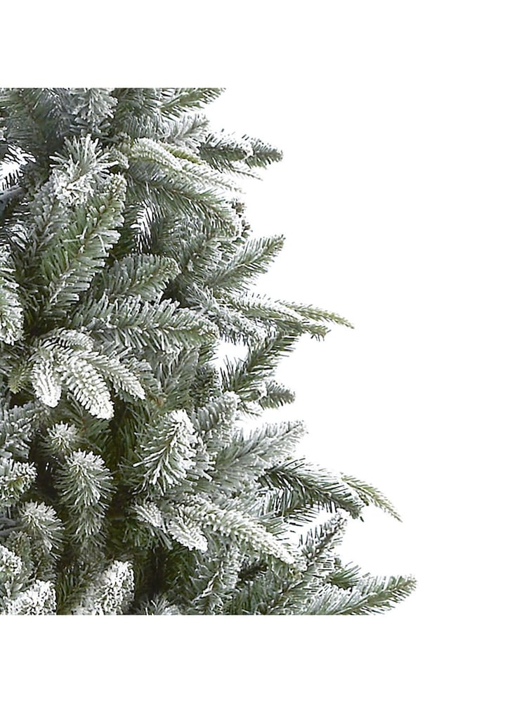 Premier Decorations Ltd 6ft Lapland Spruce Christmas Tree - Image 2 of 5 Premier Decorations Ltd 6ft Lapland Spruce Christmas Tree - Image 2 of 5
