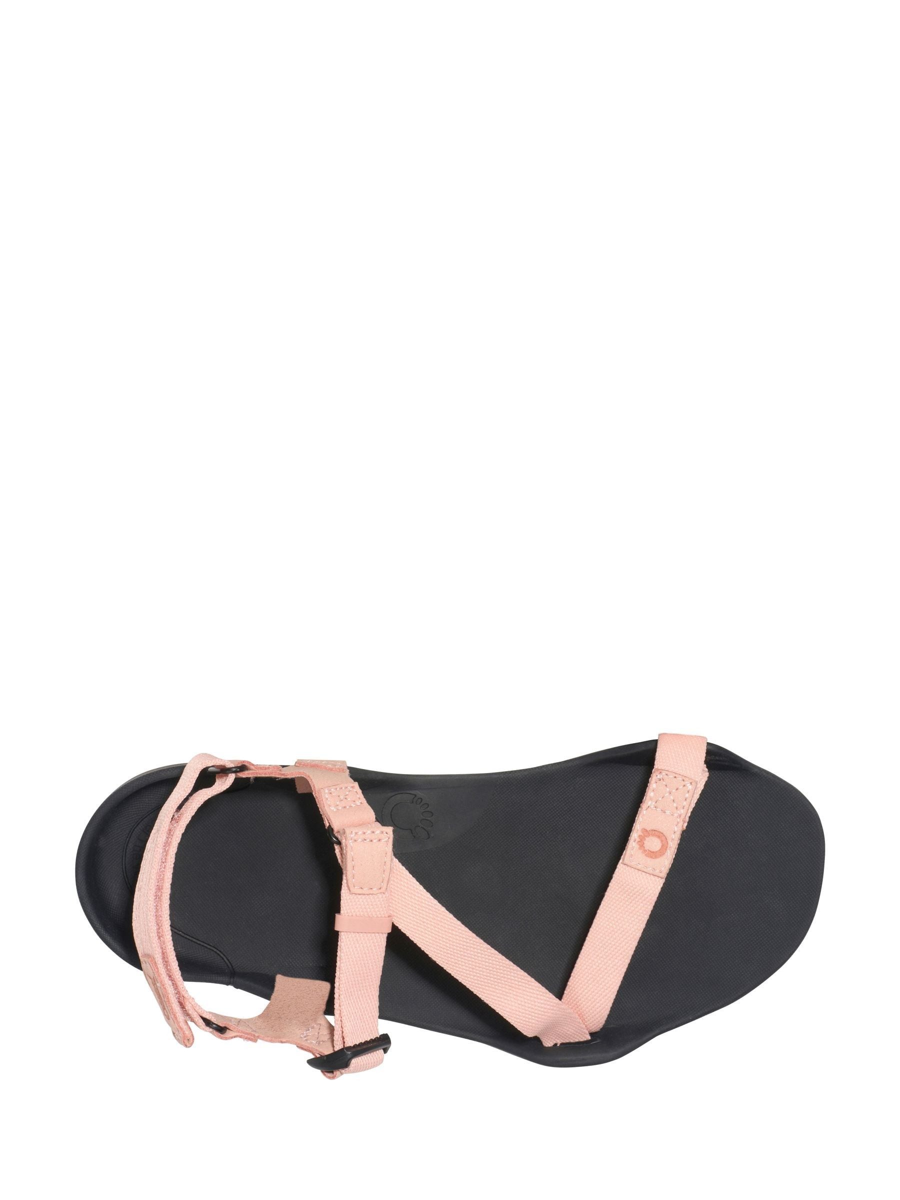 Buy Xero Pink/Sand Barefoot Z-Trek Sandals from Next USA