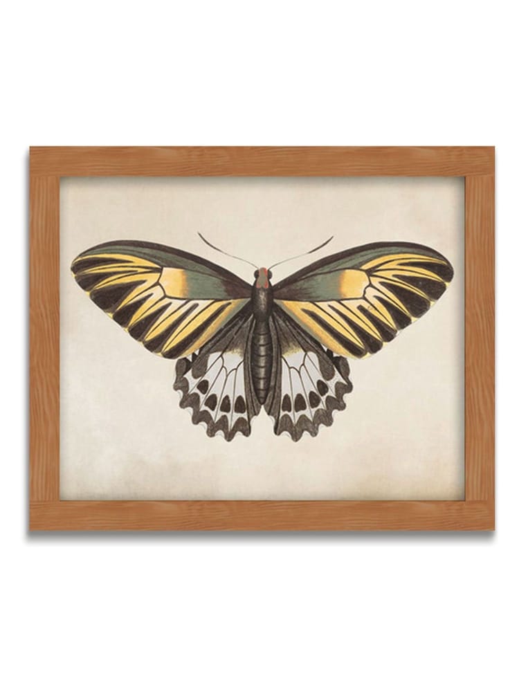 Graham & Brown Yellow Whimsical Wings Wood Frame - Image 2 of 4 Graham & Brown Yellow Whimsical Wings Wood Frame - Image 2 of 4