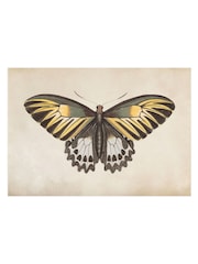 Graham & Brown Yellow Whimsical Wings Wood Frame - Image 4 of 4