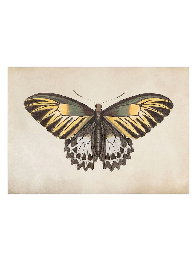 Graham & Brown Yellow Whimsical Wings Wood Frame - Image 4 of 4 Graham & Brown Yellow Whimsical Wings Wood Frame - Image 4 of 4