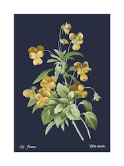 Graham & Brown Blue Glasshouse Viola Wood Frame - Image 4 of 4