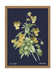 Graham & Brown Multicolour Glasshouse Viola Wood Frame - Image 2 of 4