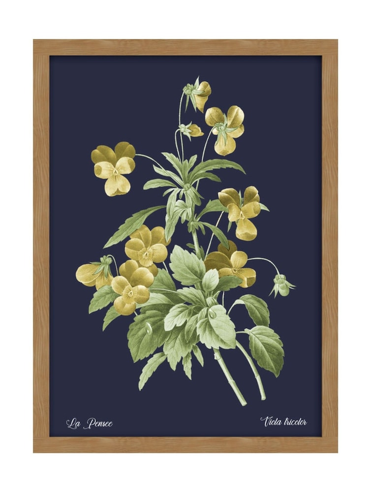 Graham & Brown Multicolour Glasshouse Viola Wood Frame - Image 2 of 4