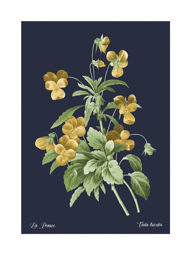 Graham & Brown Multicolour Glasshouse Viola Wood Frame - Image 4 of 4