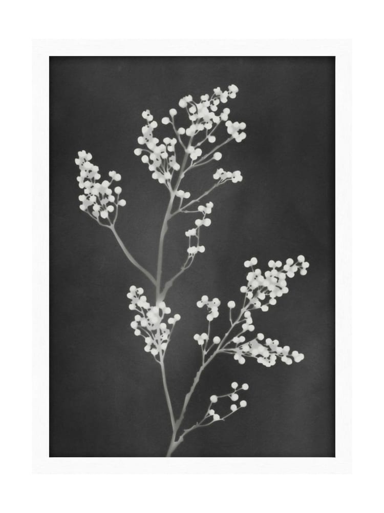 Graham & Brown Multicolour Flower Press Black White Frame - Image 2 of 4