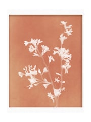Graham & Brown Orange Flower Press Frame - Image 2 of 4
