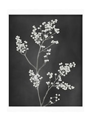 Graham & Brown Black Flower Press Frame - Image 2 of 4