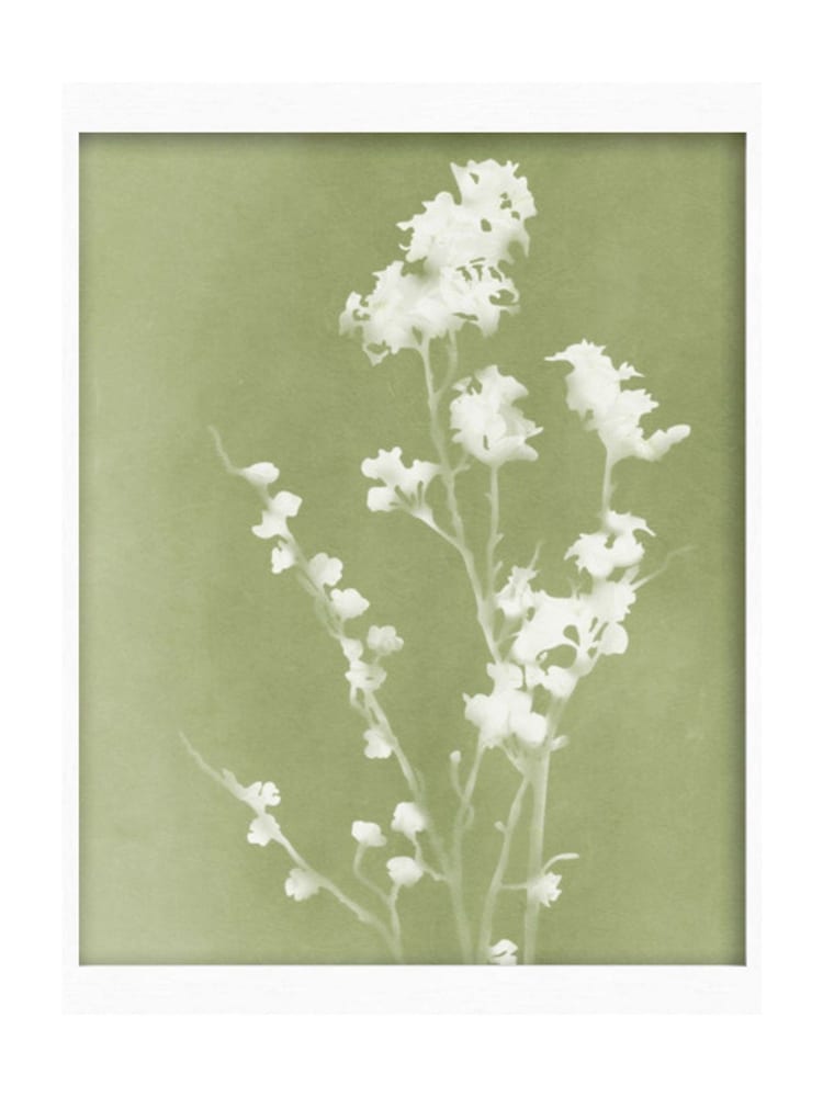 Graham & Brown Green Flower Press Frame - Image 2 of 4 Graham & Brown Green Flower Press Frame - Image 2 of 4