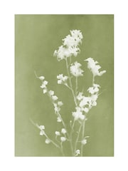 Graham & Brown Green Flower Press Frame - Image 4 of 4