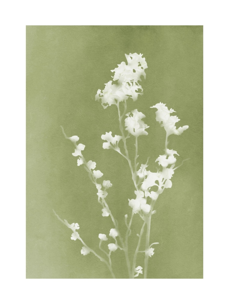 Graham & Brown Green Flower Press Frame - Image 4 of 4 Graham & Brown Green Flower Press Frame - Image 4 of 4