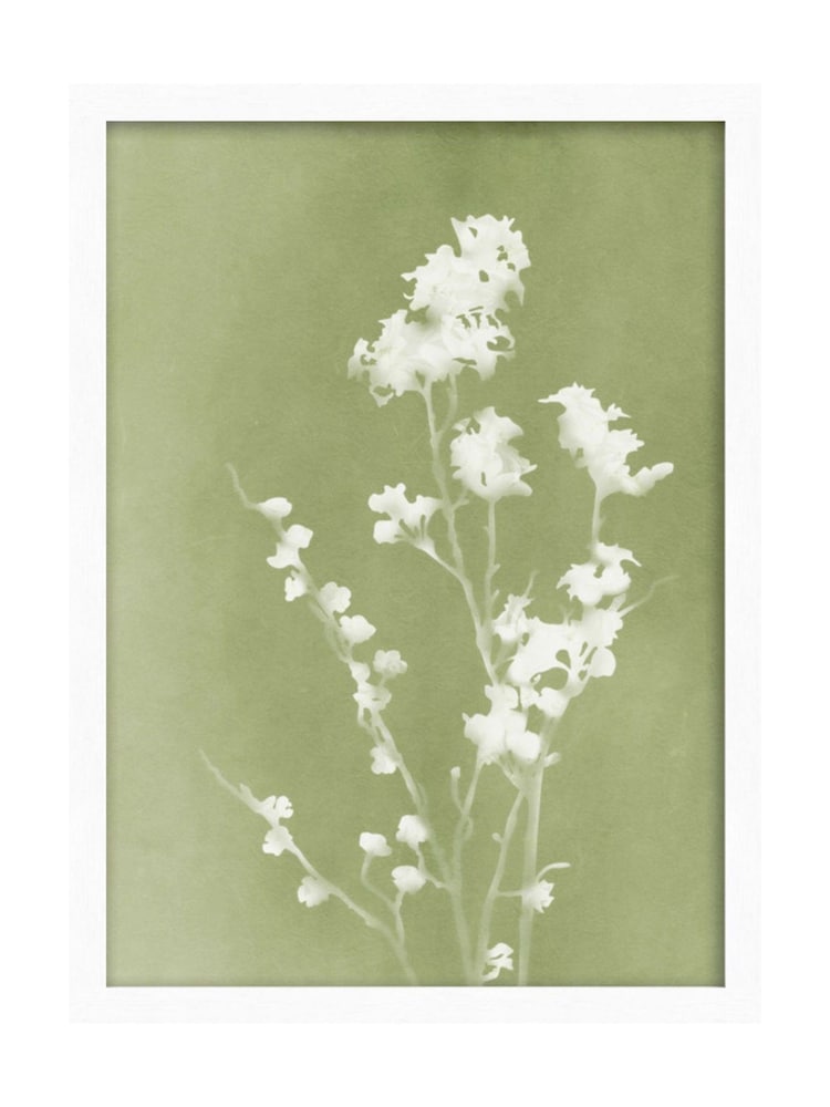 Graham & Brown Multicolour Flower Press Green White Frame - Image 2 of 4 Graham & Brown Multicolour Flower Press Green White Frame - Image 2 of 4