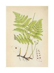 Graham & Brown Green Branching Life Wood Frame - Image 4 of 4