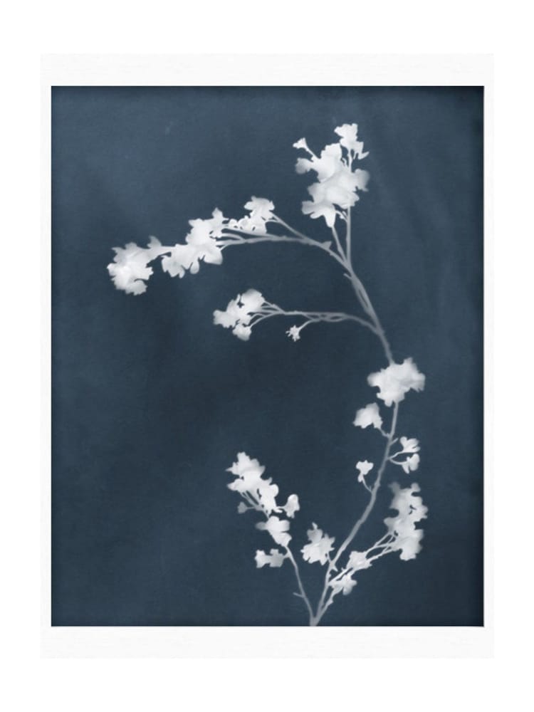 Graham & Brown Blue Flower Press Frame - Image 2 of 4 Graham & Brown Blue Flower Press Frame - Image 2 of 4