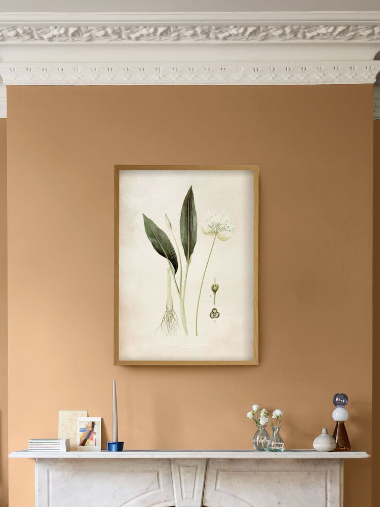 Graham & Brown Green Allium Ursinum Wood Frame - Image 1 of 4