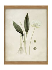 Graham & Brown Green Allium Ursinum Wood Frame - Image 2 of 4