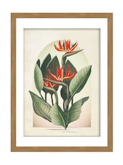 Graham & Brown Multicolour Botanique Jungle Exotic Floral Wood Frame - Image 2 of 4