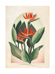 Graham & Brown Multicolour Botanique Jungle Exotic Floral Wood Frame - Image 4 of 4