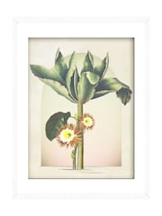 Graham & Brown Multicolour Botanique Jungle Tree Frame - Image 2 of 4