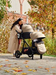 Ickle Bubba Stone 14 Piece Virgo Travel System with iSize Cirrus Car Seat - Image 1 of 6