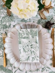 Avalon Home Green Lake District Toile Napkin Pair - Image 2 of 6