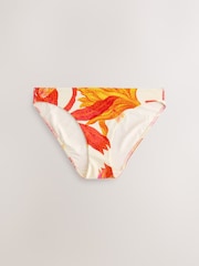 Kew Gardens Tropical Print High Leg Bikini Bottoms - Image 1 of 3