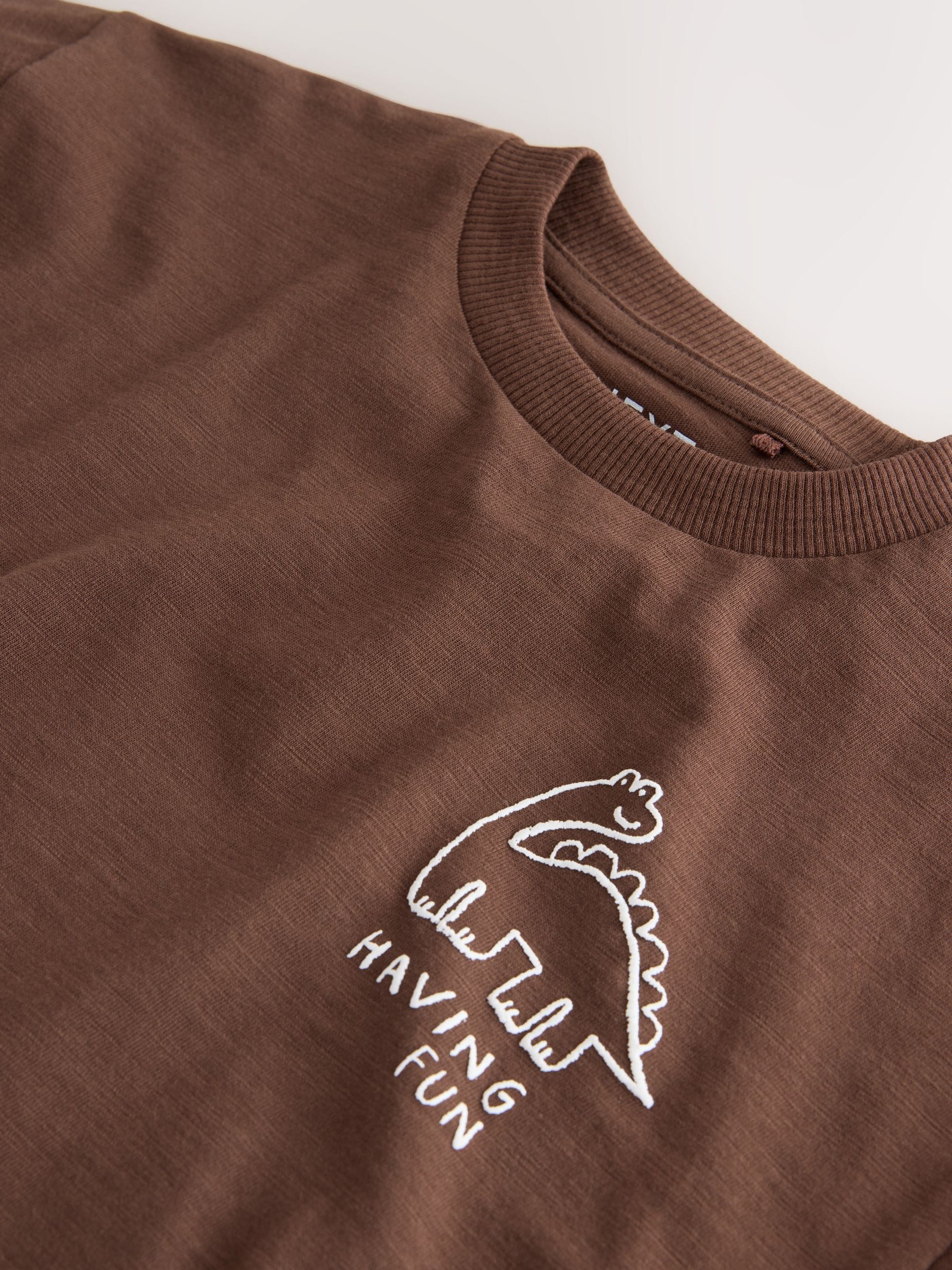 Buy Chocolate Brown Dinosaur Club Oversized Short Sleeve Back