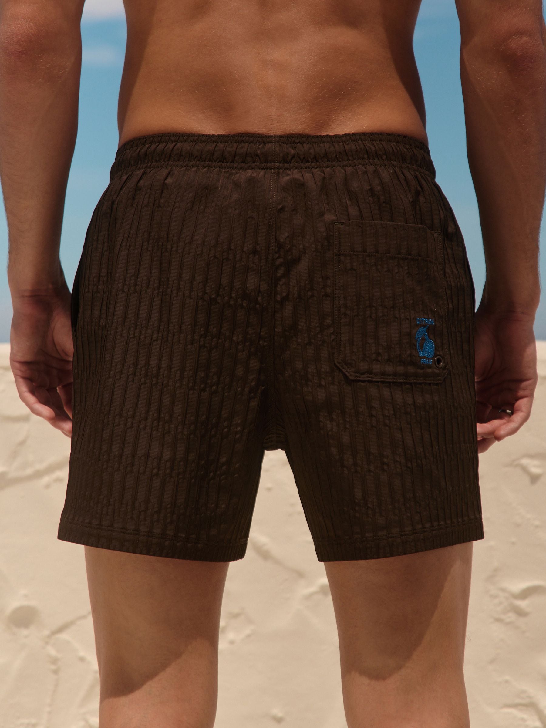 Buy Chocolate Brown Textured 5 Inch Swim Shorts from Next USA