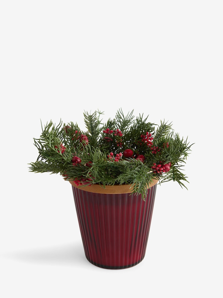 Festive Spice Red Light Up Wreath 3 Wick Candle - Image 7 of 7