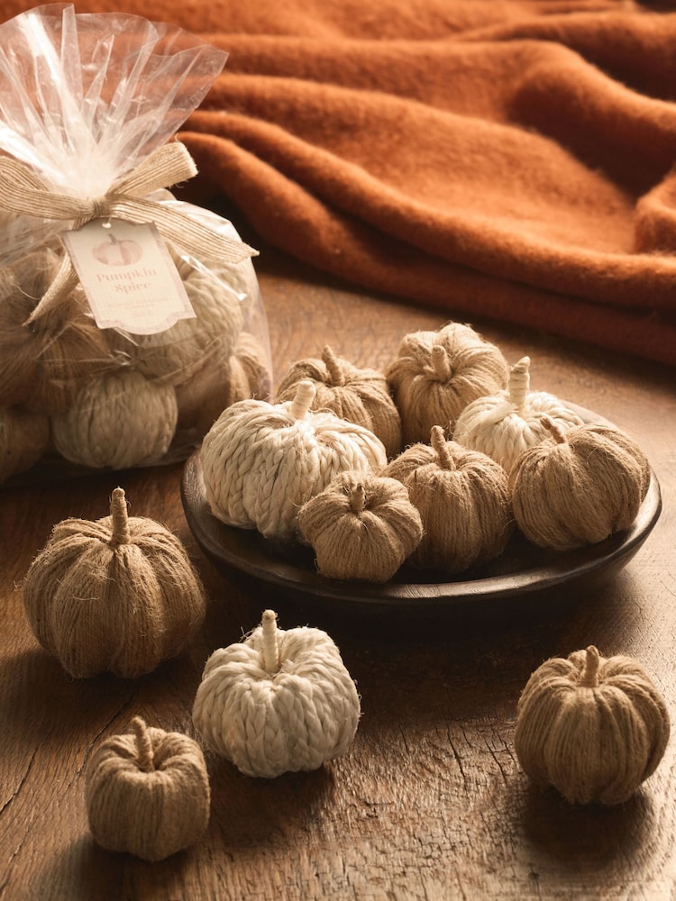 Pumpkin Spice Orange Pot Pourri - Image 1 of 3