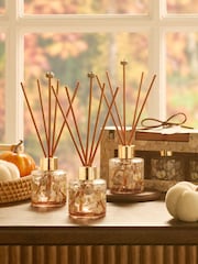 Pumpkin Spice Orange Reed Set of 3 Diffuser - Image 1 of 3