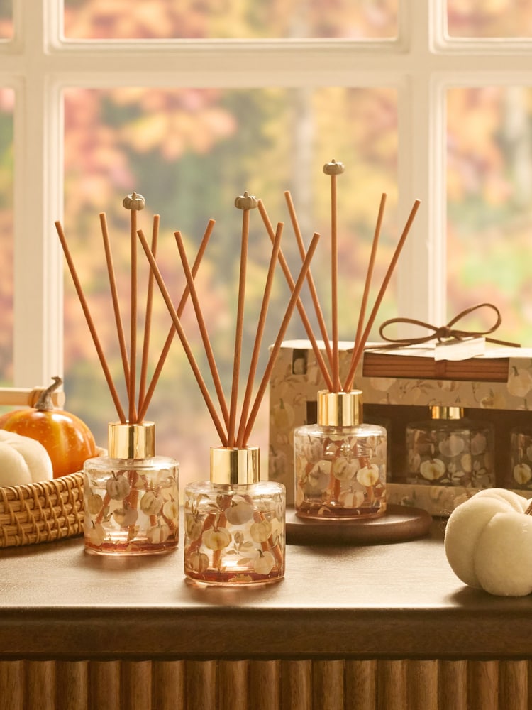 Pumpkin Spice Orange Reed Set of 3 Diffuser - Image 1 of 3 Pumpkin Spice Orange Reed Set of 3 Diffuser - Image 1 of 3