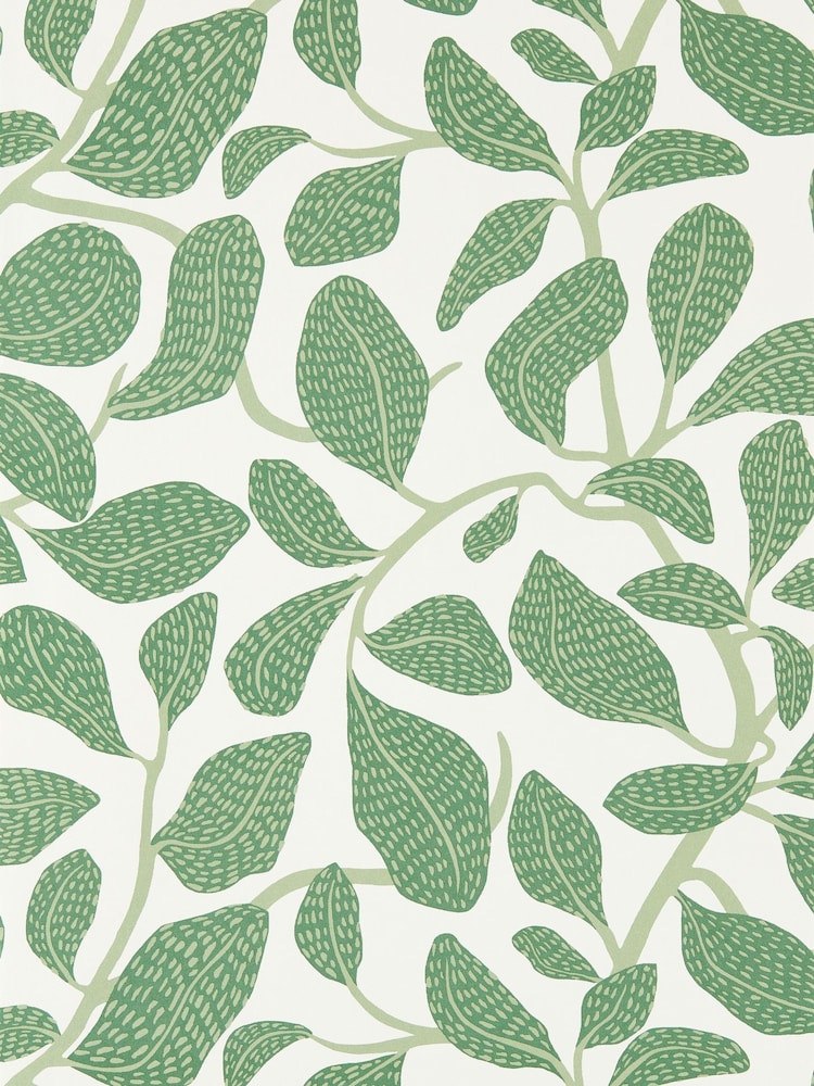 Scion Green Sweet Bay Oakham 10M Wallpaper - Image 1 of 4