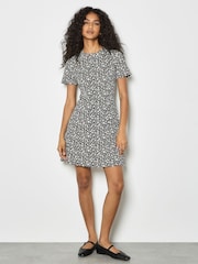 Apricot Black Fit & Flare Printed Ponti Dress - Image 1 of 4