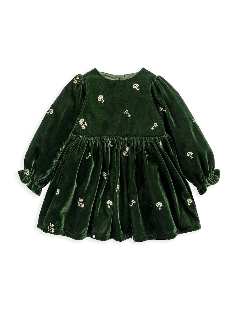 Buy Mamas & Papas Green Embroidered Velvet Dress from Next USA