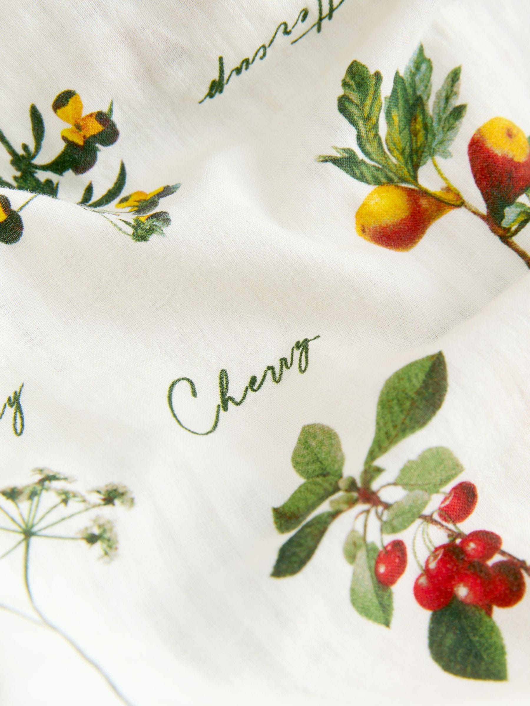 Buy Ecru Floral Cherry Print Puff Sleeve Shirred Midi Dress from
