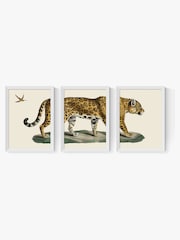 East End Prints Set of 3 White Jaguar Wall Art Prints by Natural History Museum - Image 2 of 2