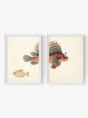 East End Prints Set of 2 White Fish Wall Art Prints by Natural History Museum - Image 2 of 2