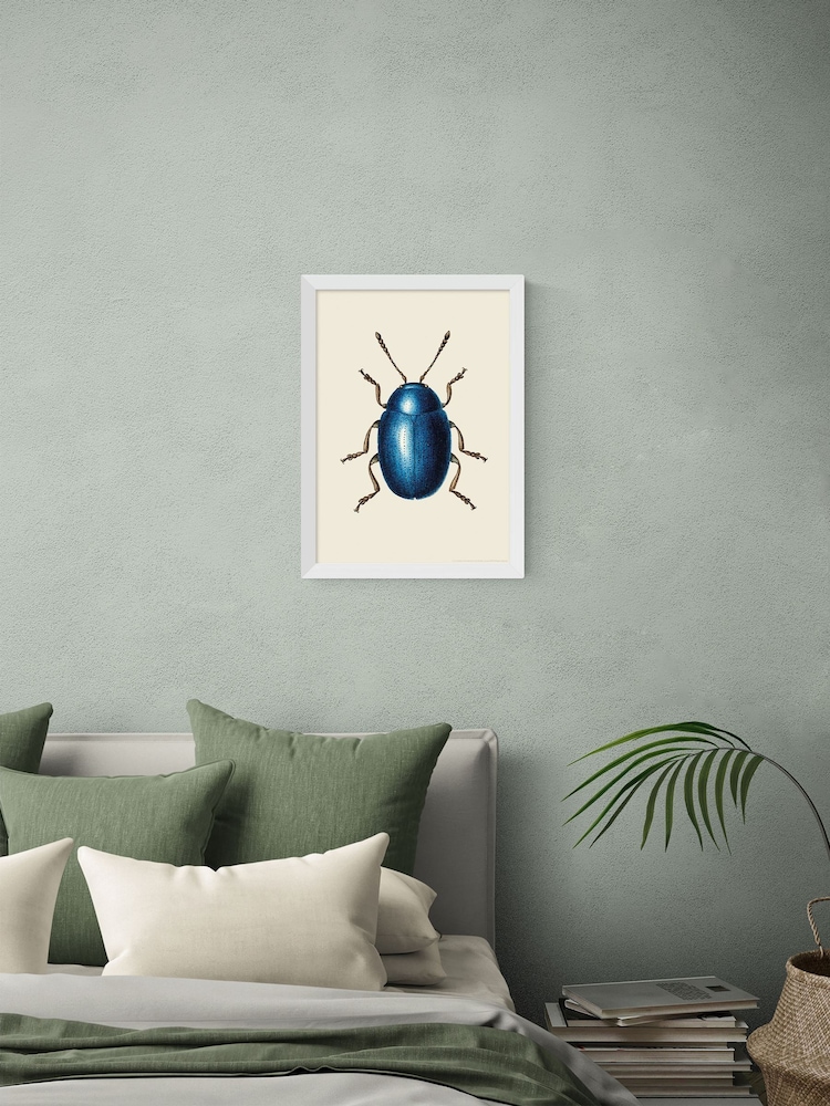 East End Prints White Mustard Beetle Print Wall Art by Natural History Museum - Image 1 of 2