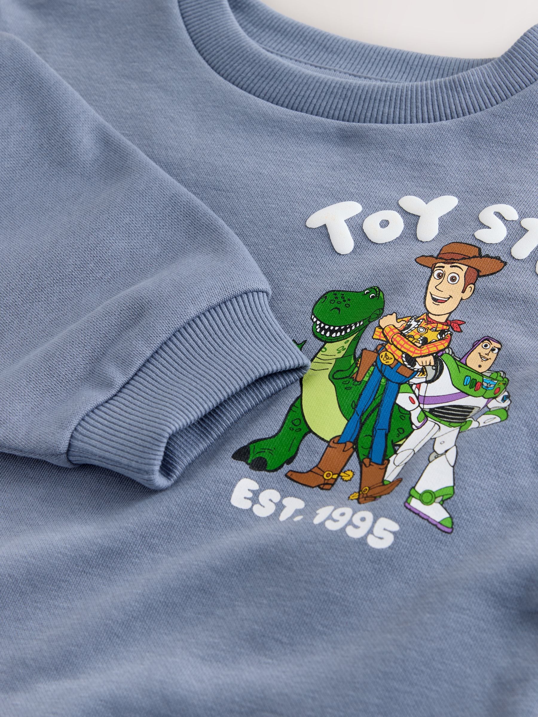 Buy Blue Toy Story Printed Sweatshirt (3mths-7yrs) from the Next
