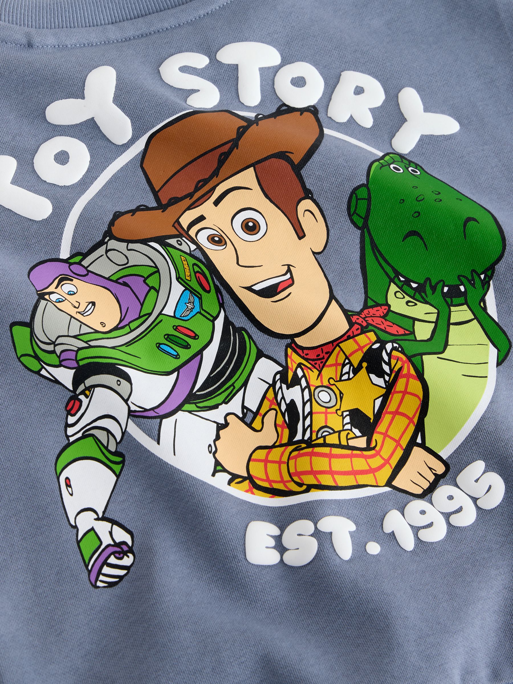 Buy Blue Toy Story Printed Sweatshirt (3mths-7yrs) from Next Ireland
