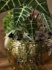 Green Light Up Artificial Plants In Gold Metal Bowl - Image 2 of 5