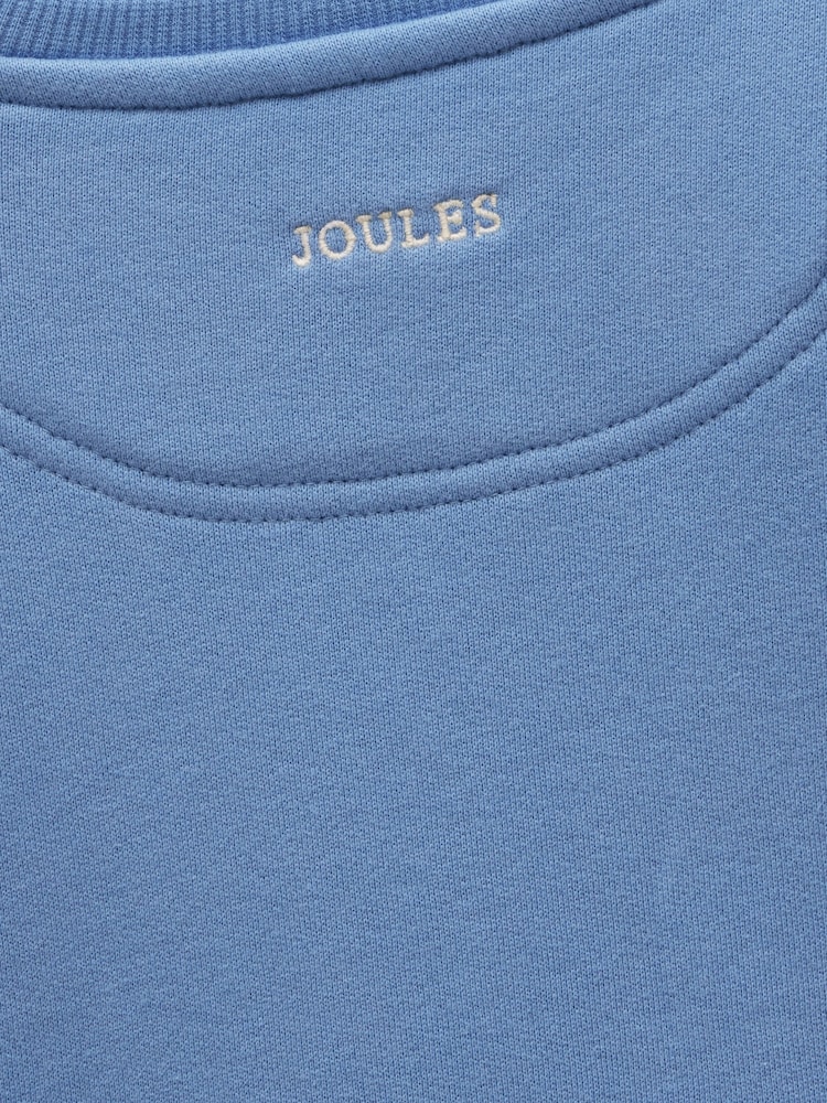 Sweat-shirt à motif sérigraphié Joules pour garçon - Image 7 sur 7