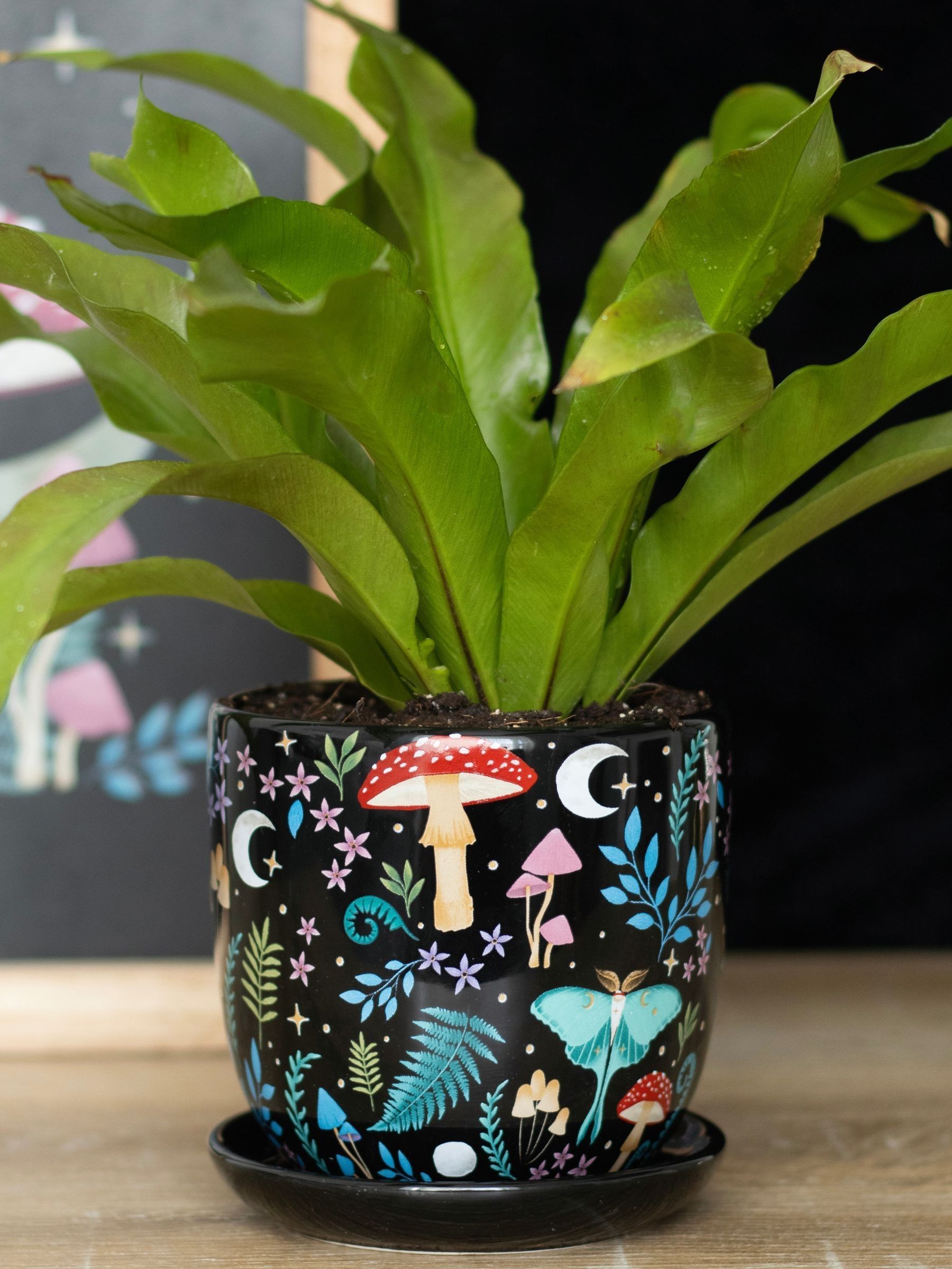 Dark Forest Ceramic Plant Pot Botanical Design Art Painted Planter with Saucer - Image 9