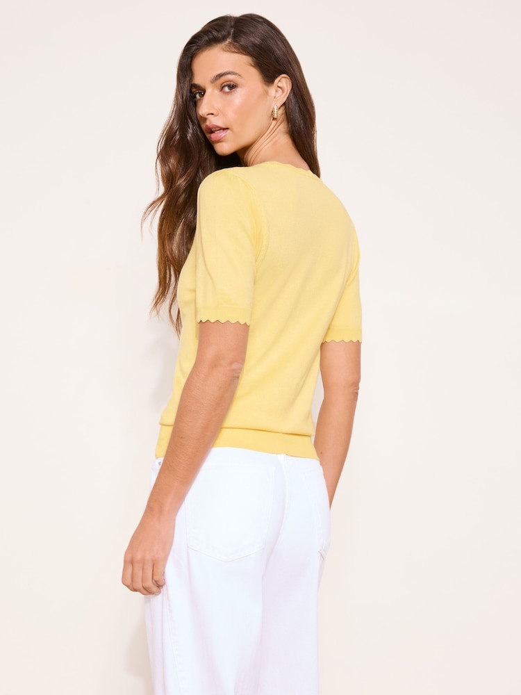 Lipsy Lace Insert Short Sleeve Fine Gauge Knit T-Shirt - 4суретінің 4 суреті