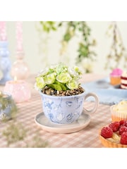 Widdop Blue Disney Alice in Wonderland Teacup Planter with Faux Plant - Image 2 of 4