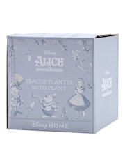 Widdop Blue Disney Alice in Wonderland Teacup Planter with Faux Plant - Image 4 of 4