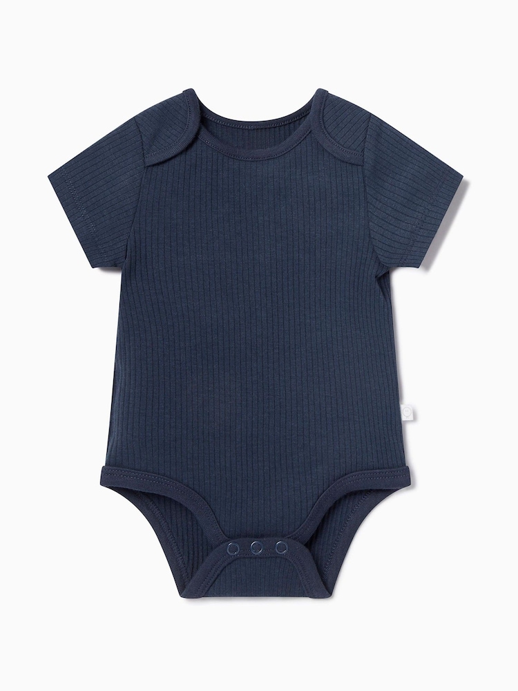 MORI Blue Ribbed Stretch Short Sleeve Envelope Neckline Bodysuit - Image 1 of 1 MORI Blue Ribbed Stretch Short Sleeve Envelope Neckline Bodysuit - Image 1 of 1